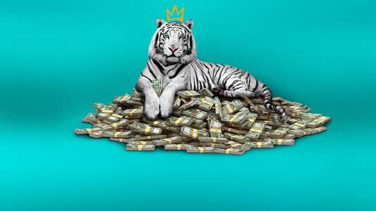 The White Tiger - Backdrop