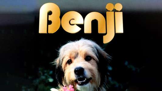 Benji - Backdrops