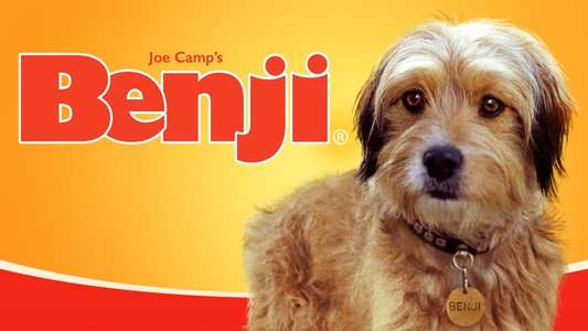 Benji - Backdrops