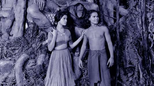 Jungle Book - Backdrop