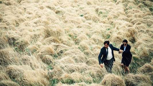 The Lobster - Backdrop