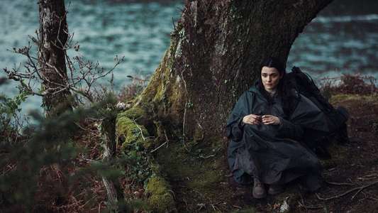 The Lobster - Backdrop