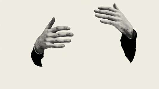 The Lobster - Backdrop