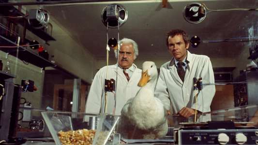 The Million Dollar Duck - Backdrops