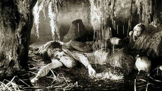 Attack of the Giant Leeches - Backdrops