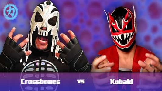 CHIKARA Revenge Of The Lawn Gnomes 2018 - Backdrop