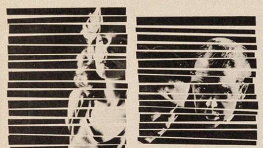 Anatomy of a Murder - Backdrop