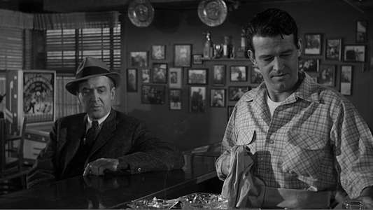 Anatomy of a Murder - Backdrop
