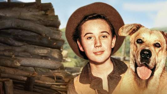 Old Yeller - Backdrops