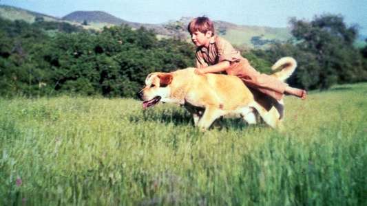 Old Yeller - Backdrops