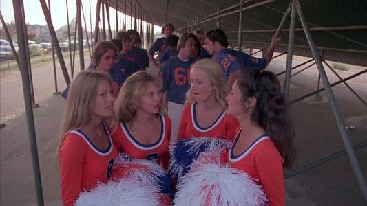 The Pom Pom Girls - Backdrop