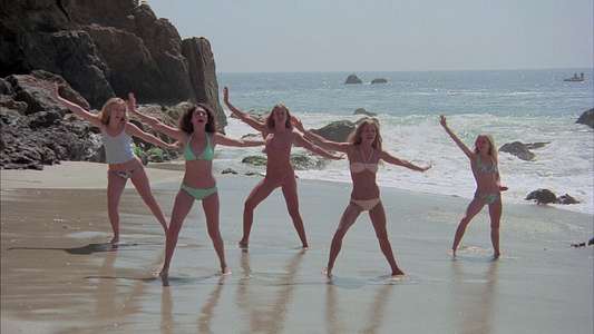 The Pom Pom Girls - Backdrop