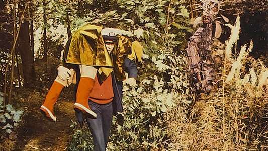 The Day of the Triffids - Backdrop
