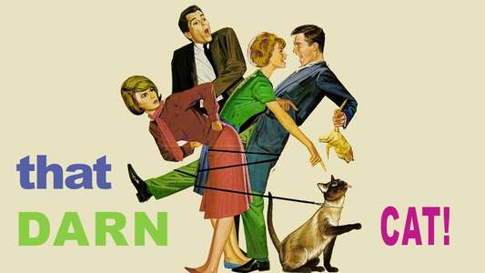 That Darn Cat! - Backdrops