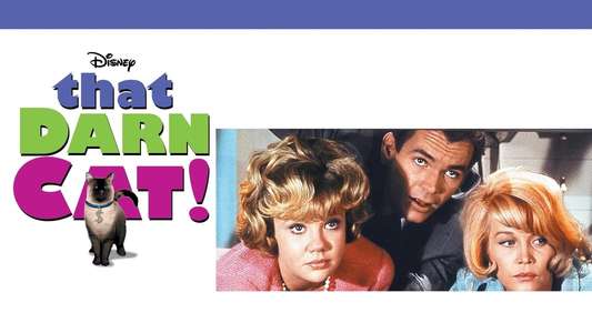 That Darn Cat! - Backdrops