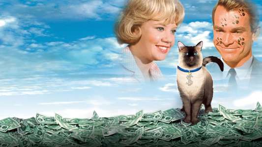 That Darn Cat! - Backdrops