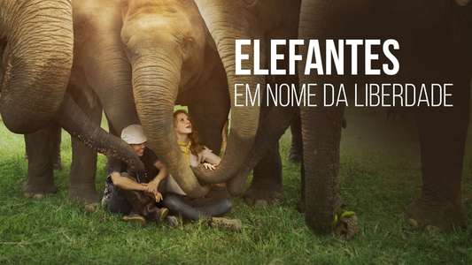 Love & Bananas: An Elephant Story - Backdrop