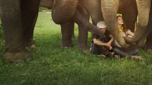Love & Bananas: An Elephant Story - Backdrop