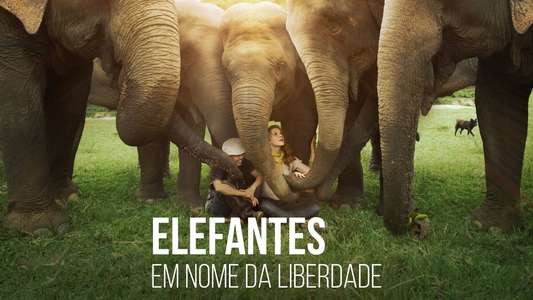 Love & Bananas: An Elephant Story - Backdrop