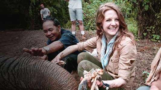 Love & Bananas: An Elephant Story - Backdrop
