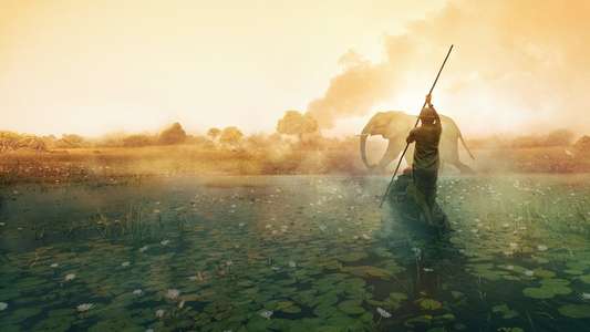 Into the Okavango - Backdrops