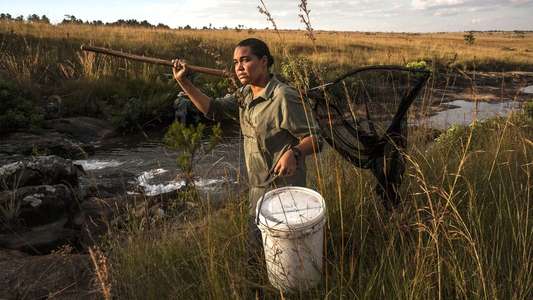 Into the Okavango - Backdrops