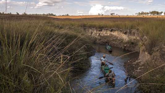 Into the Okavango - Backdrops