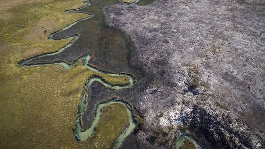 Into the Okavango - Backdrops