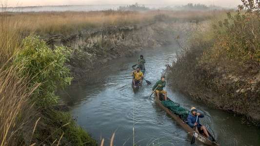 Into the Okavango - Backdrops