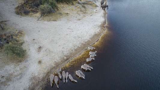 Into the Okavango - Backdrops