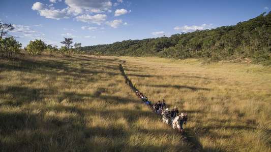 Into the Okavango - Backdrops