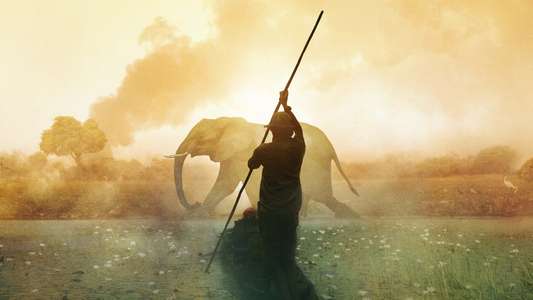 Into the Okavango - Backdrops