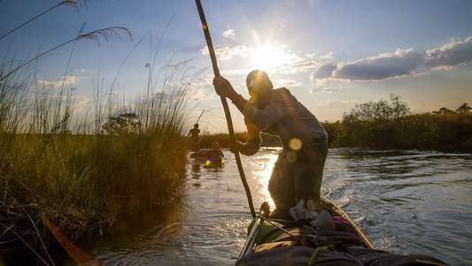 Into the Okavango - Backdrops