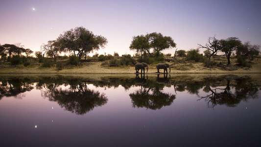 Into the Okavango - Backdrops
