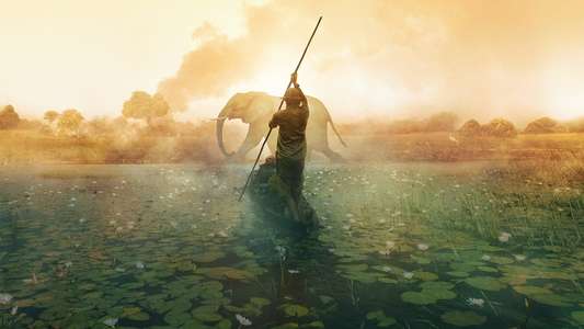 Into the Okavango - Backdrops