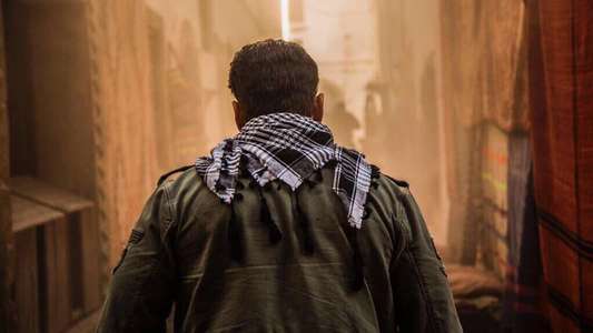 Tiger Zinda Hai - Backdrop