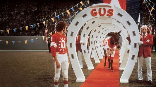 Gus - Backdrop