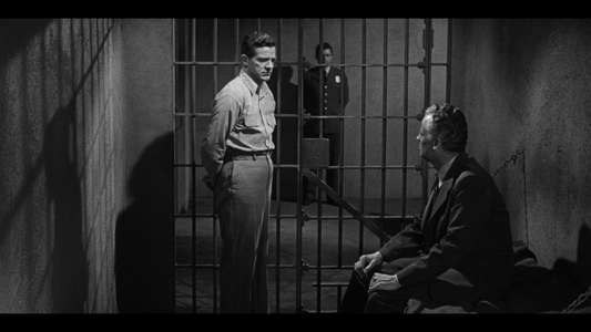 Beyond a Reasonable Doubt - Backdrop