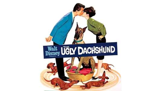 The Ugly Dachshund - Backdrop