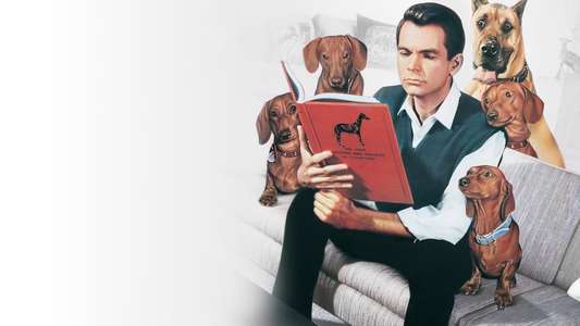 The Ugly Dachshund - Backdrop