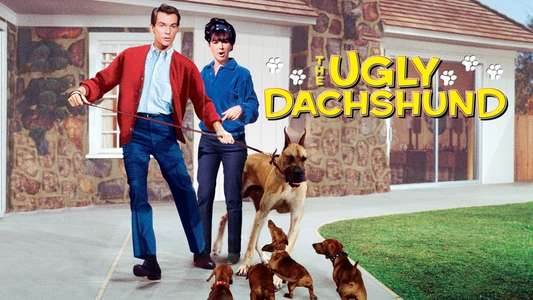 The Ugly Dachshund - Backdrop