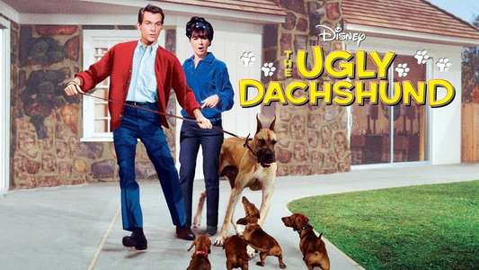 The Ugly Dachshund - Backdrop