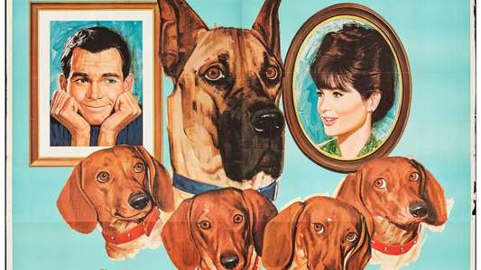 The Ugly Dachshund - Backdrop