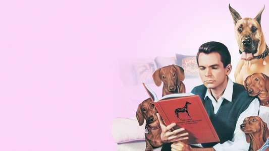 The Ugly Dachshund - Backdrop