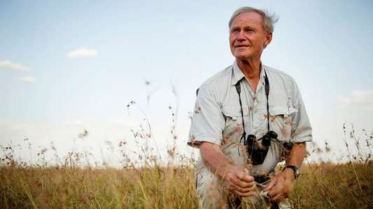 Serengeti Rules - Backdrop