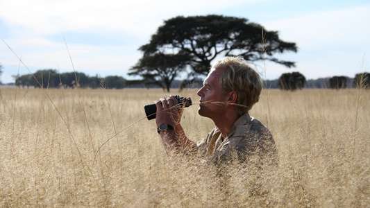 Serengeti Rules - Backdrop