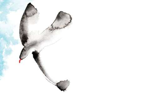 The Seagull - Backdrop
