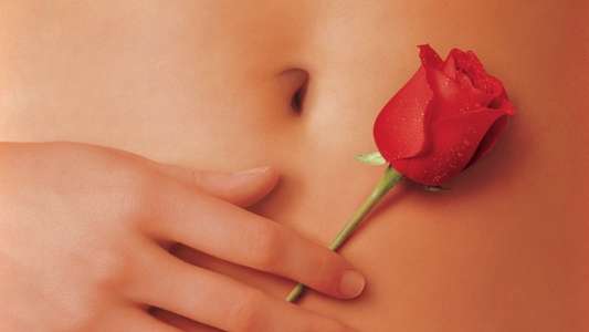 American Beauty - Backdrop