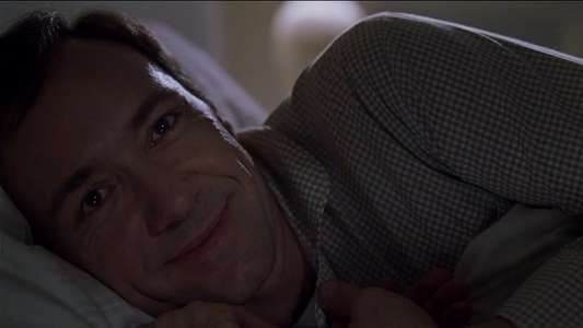 American Beauty - Backdrop