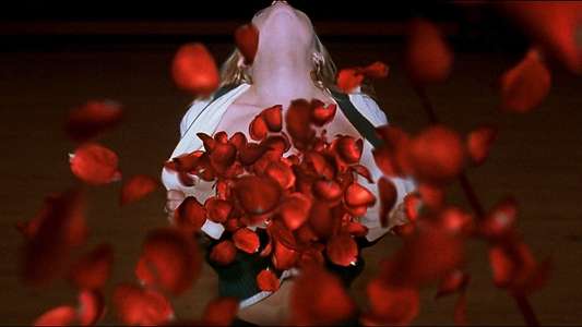 American Beauty - Backdrop